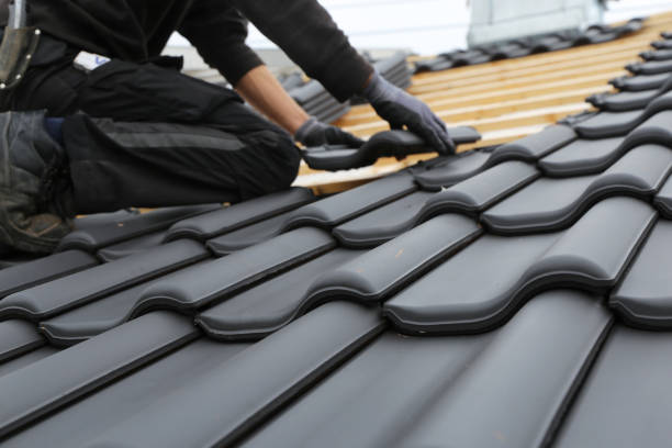 Best Roof Ventilation Installation  in Manassas, VA